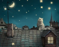 Persian Kitten Gazing at the Moonlit Sky from a Rooftop