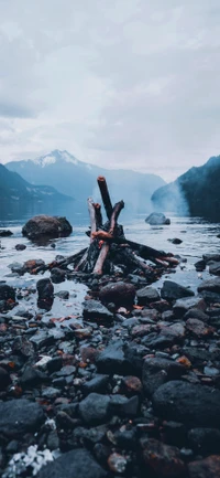 Tranquil Lakeside Scene with Charred Logs and Mountain Backdrop