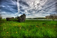 Malerische Wiese mit Wildblumen und dramatischem Himmel