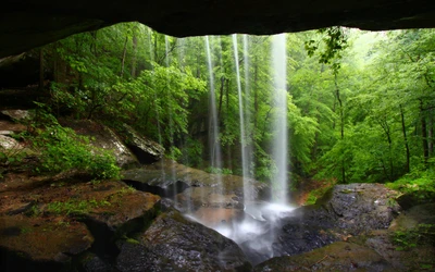 Cascata serena descendo através da vegetação exuberante