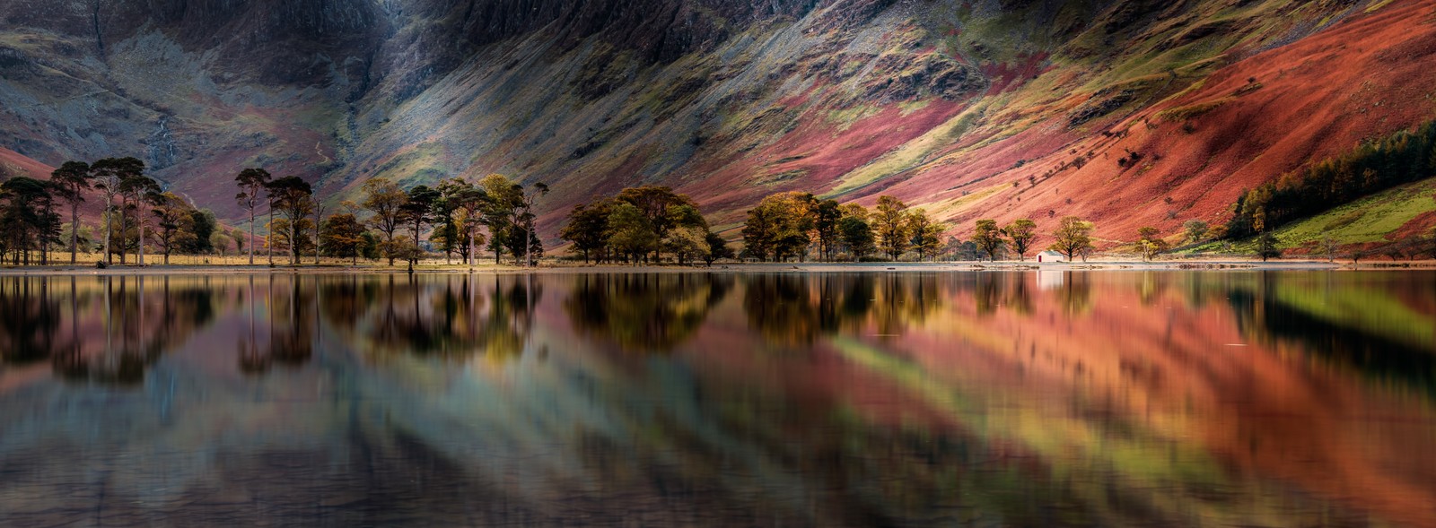 Une vue arabe d'un lac avec une montagne en arrière-plan (lac buttermere, angleterre, england, pins, réflexion)