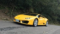 Llamativo Lamborghini Huracan amarillo en una carretera sinuosa entre la exuberante vegetación