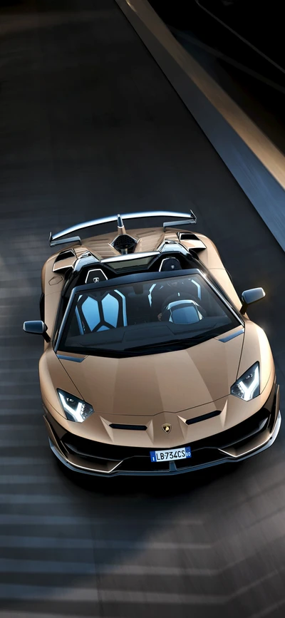 lamborghini, машины, суперкар, концепт кар, купе