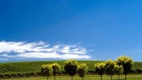 naturaleza, campo, nube, día, pradera