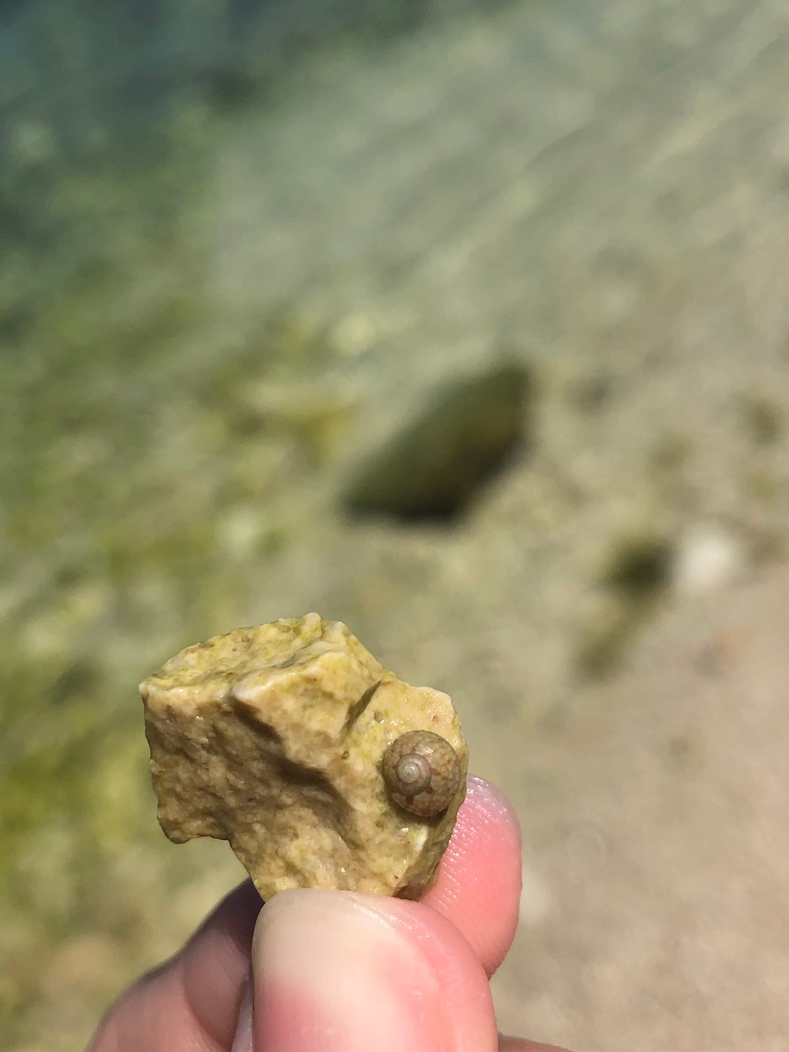 Jemand hält ein stück essen in der hand in der nähe des wassers (fels, mineral, finger, großaufnahme)