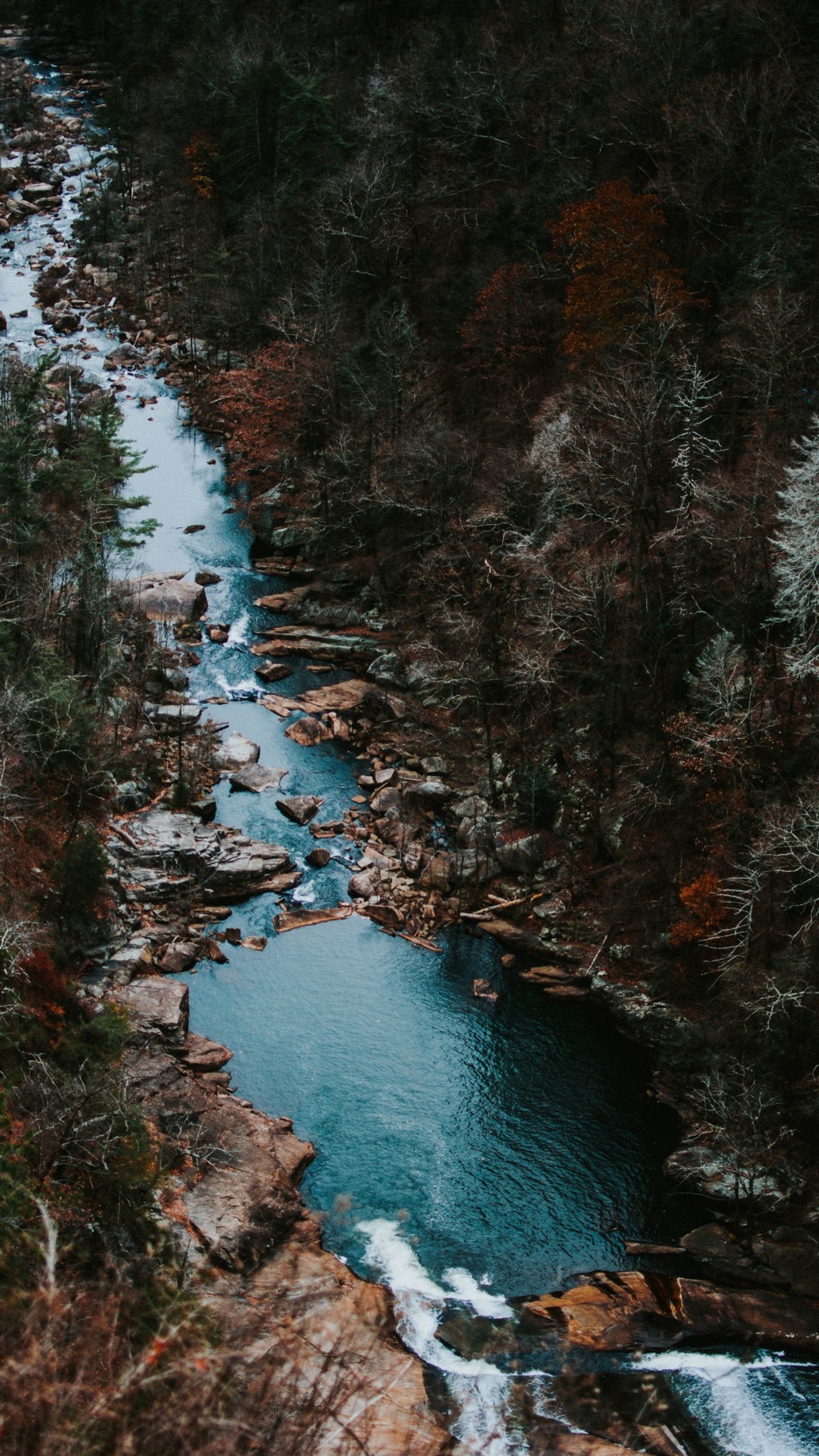 Река, протекающая через лес с камнями и деревьями (вода, водные ресурсы, растение, природный пейзаж, лазурный)