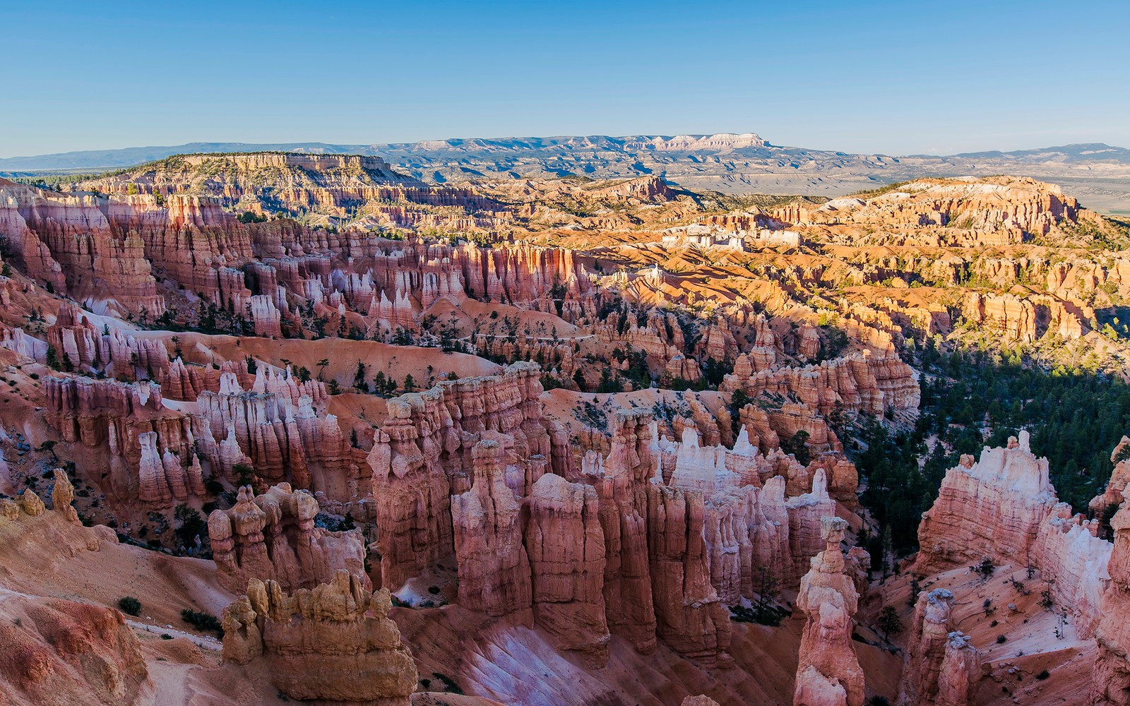 Una vista de los cañones hoodoo desde la cima del sendero hoodoo (parque nacional bryce canyon, parque nacional zion, zion national park, bryce canyon city, cañón)