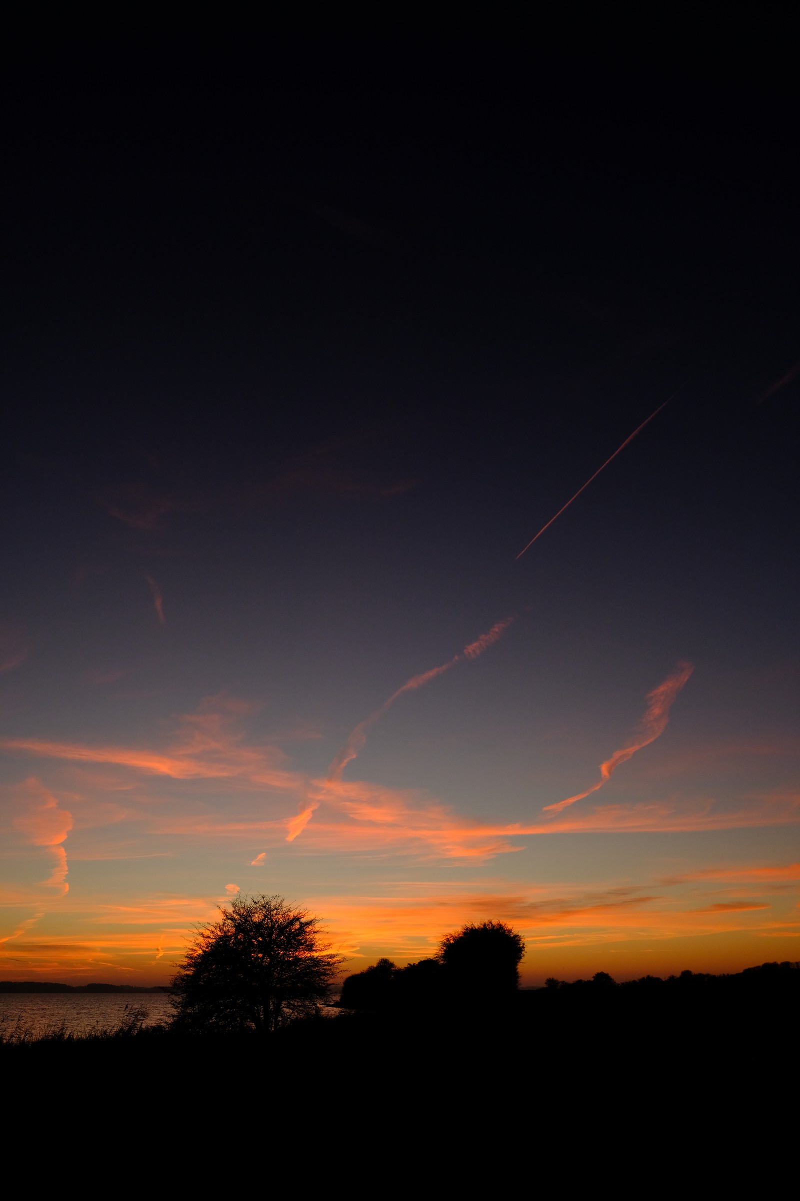 Ciel dégagé avec quelques nuages et un arbre au premier plan (coucher de soleil, aube, soir, crépuscule, nuage)