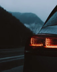 Volkswagen Beetle Tail Light Glowing in Rainy Landscape