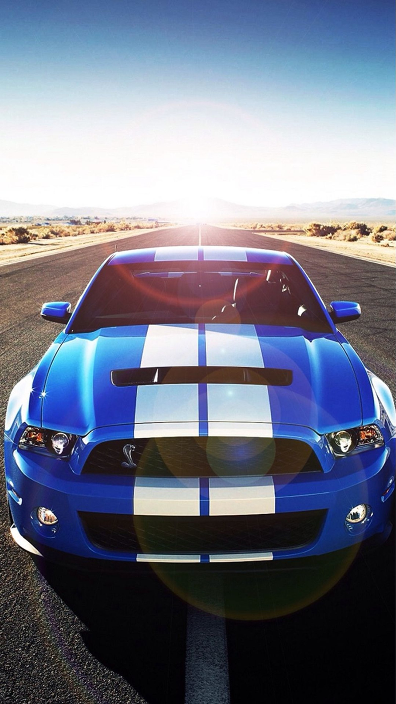 Baixar papel de parede carro, carros, cobra, shelby