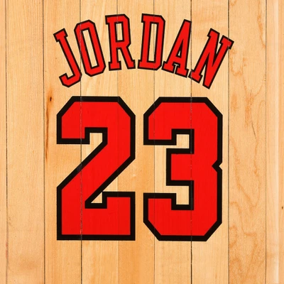 basketball, michael jordan, mj, nba, sport