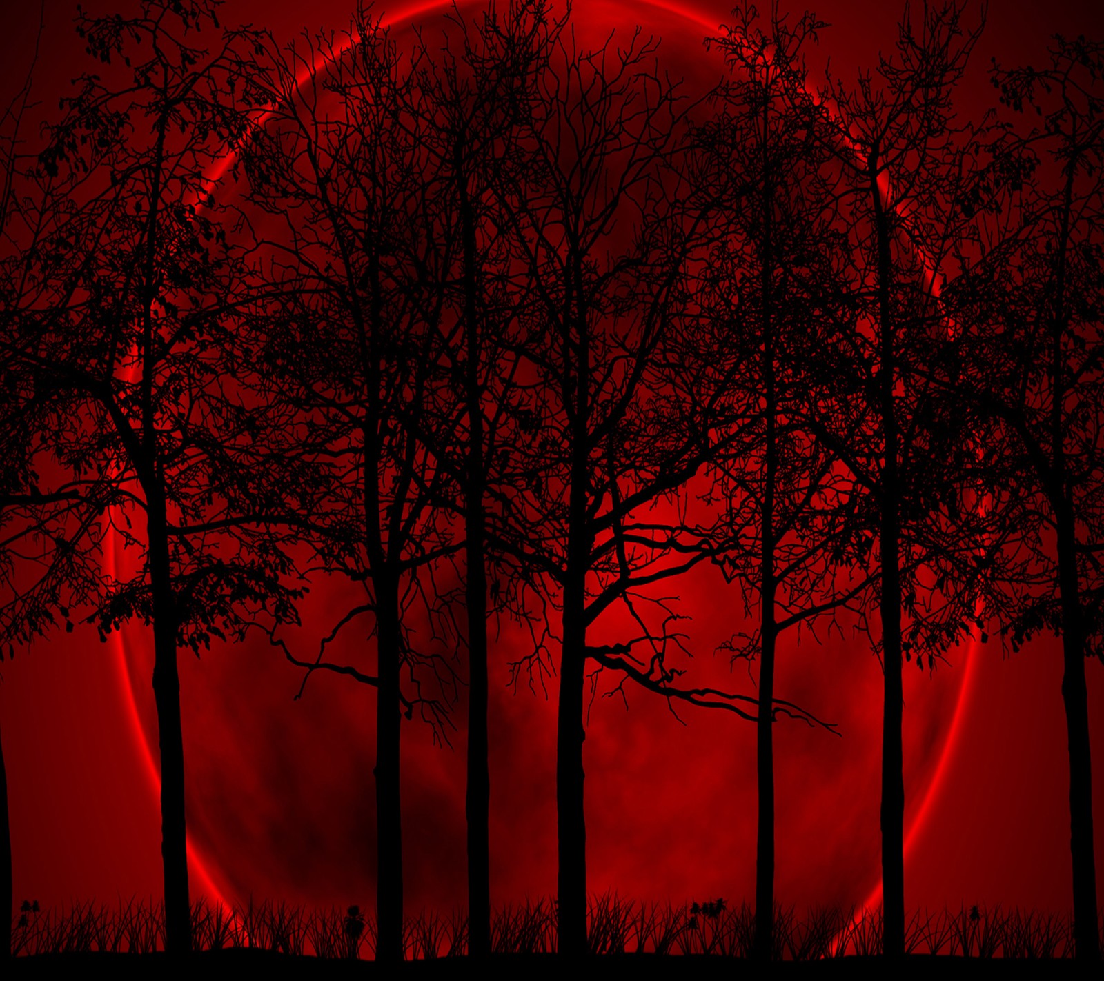 Un gros plan d'une lune rouge avec des arbres au premier plan (lune, nature)