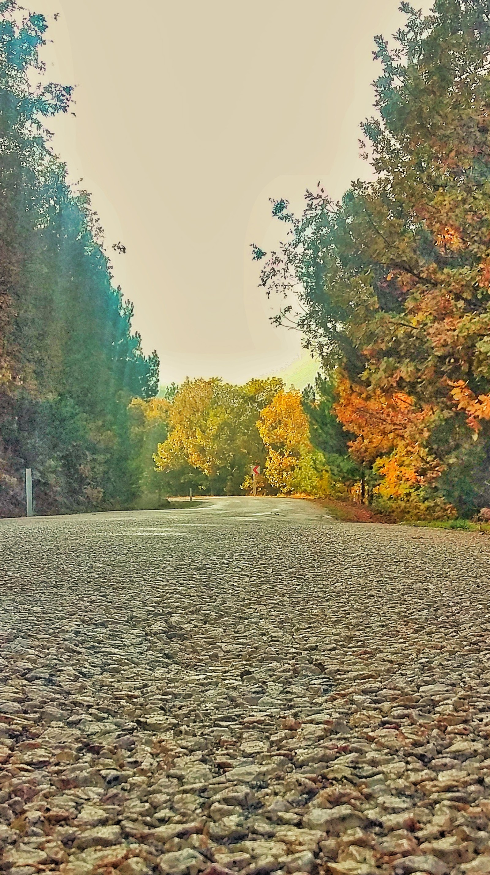 Um hidrante vermelho parado ao lado da estrada (outono, melhor, paisagem, novo, papel)