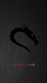 Logo de dragón de Kali Linux con aviso de terminal