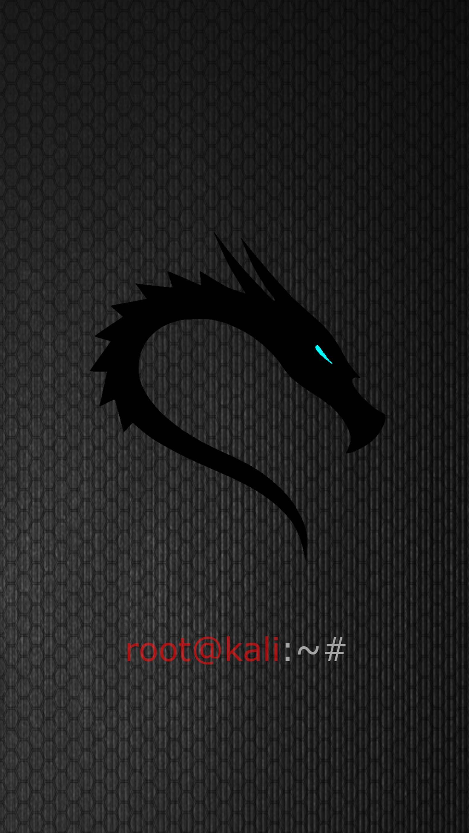 Ein schwarzes drachenlogo mit rotem und blauem licht (drache, hd, kali, linux, logo)