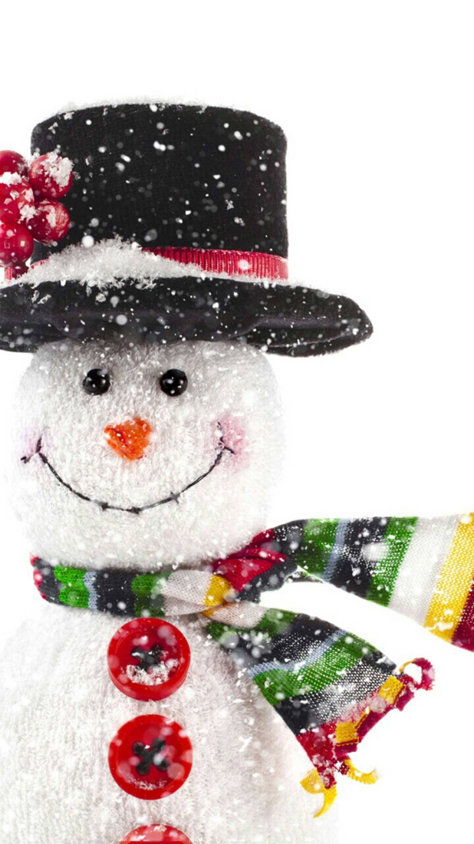 There is a snowman with a hat and scarf on (hollyday, snowman)