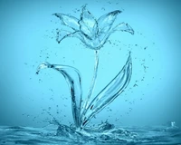 blue, drops, flower, splash, water