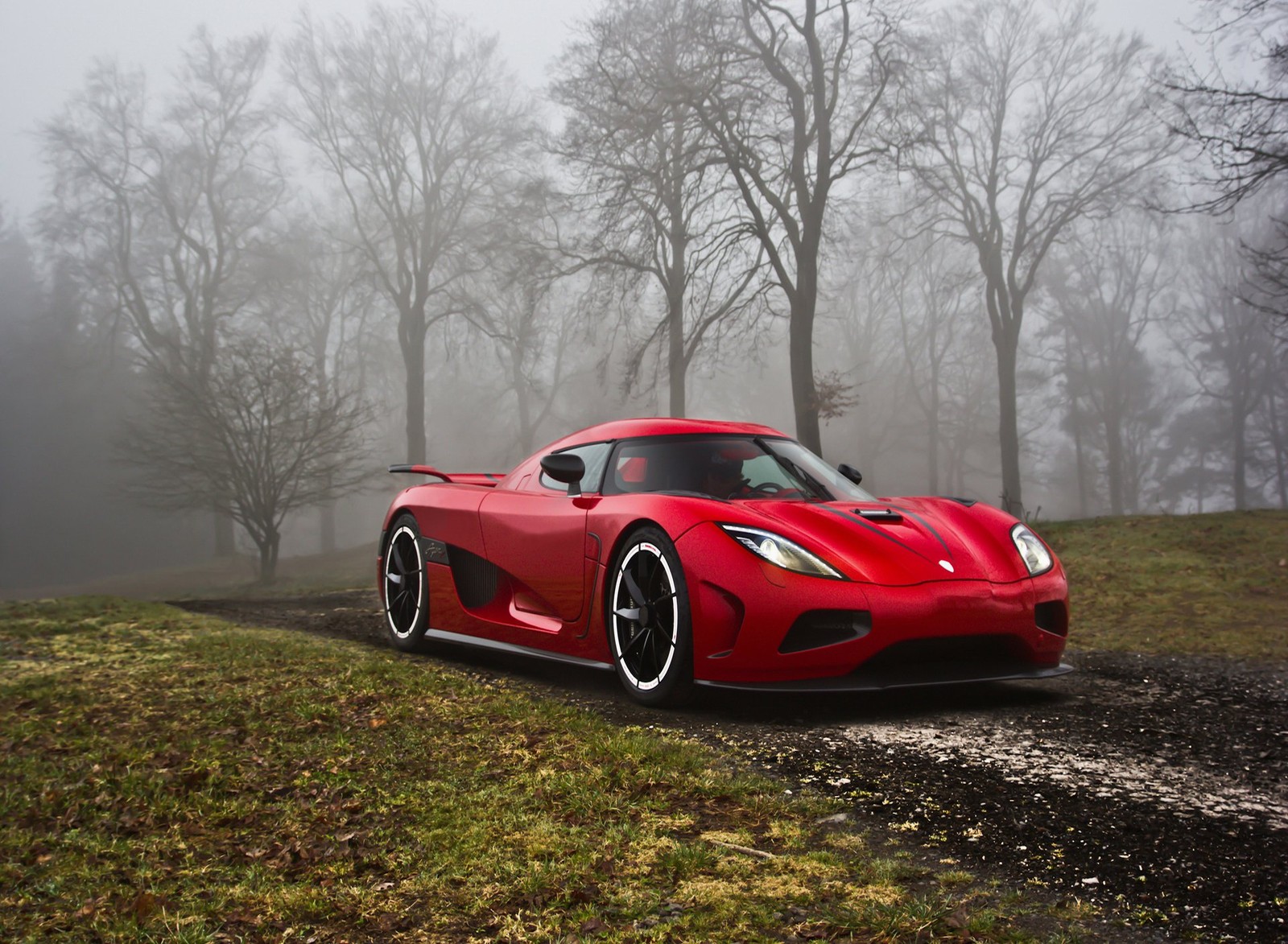 Un primer plano de un coche deportivo rojo conduciendo por una carretera neblinosa (belleza, coche, naturaleza, rojo)