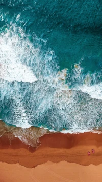 beach, ocean wallpaper