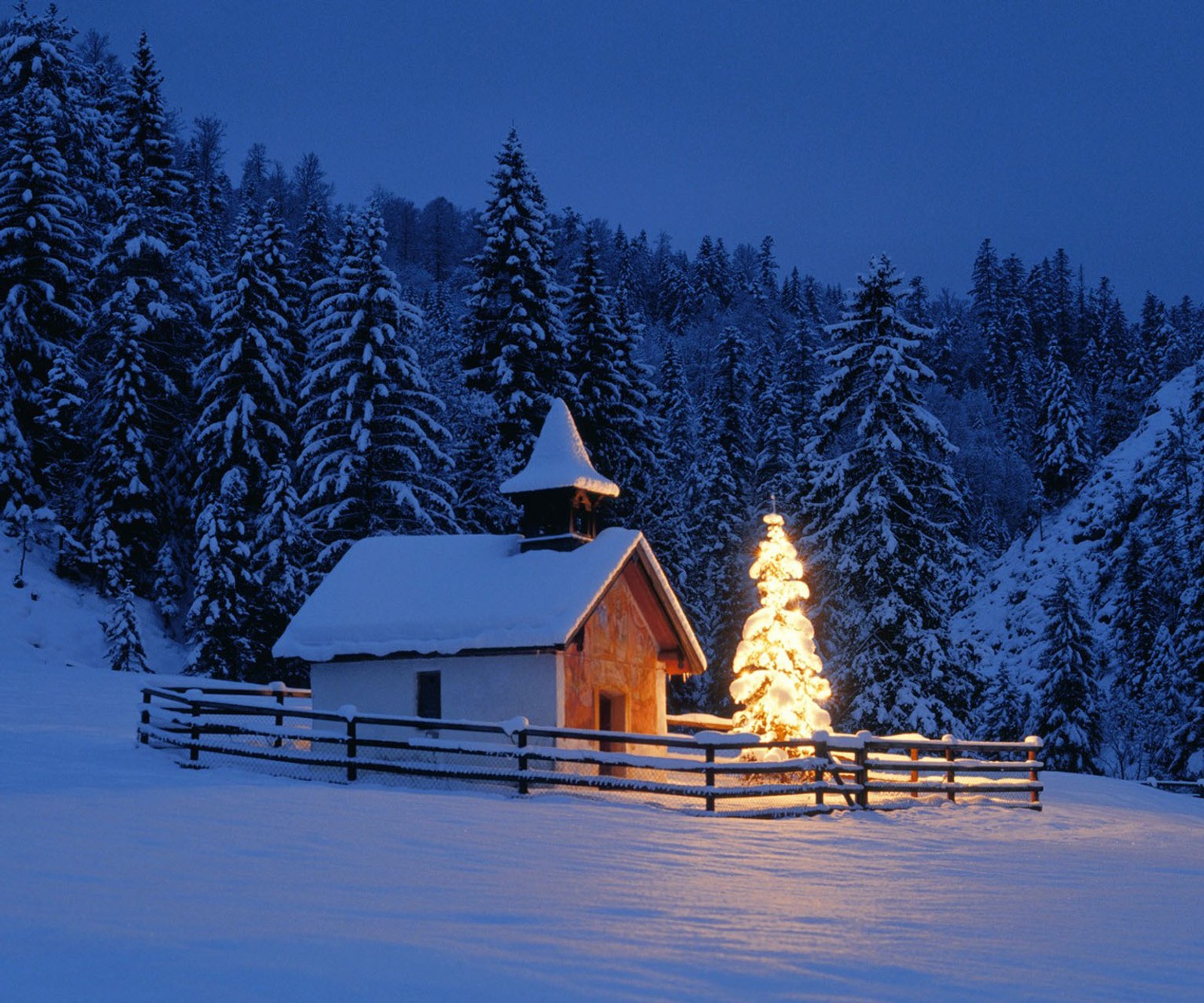 Une clôture en bois avec un sapin de noël devant une grange (noël, hiver)