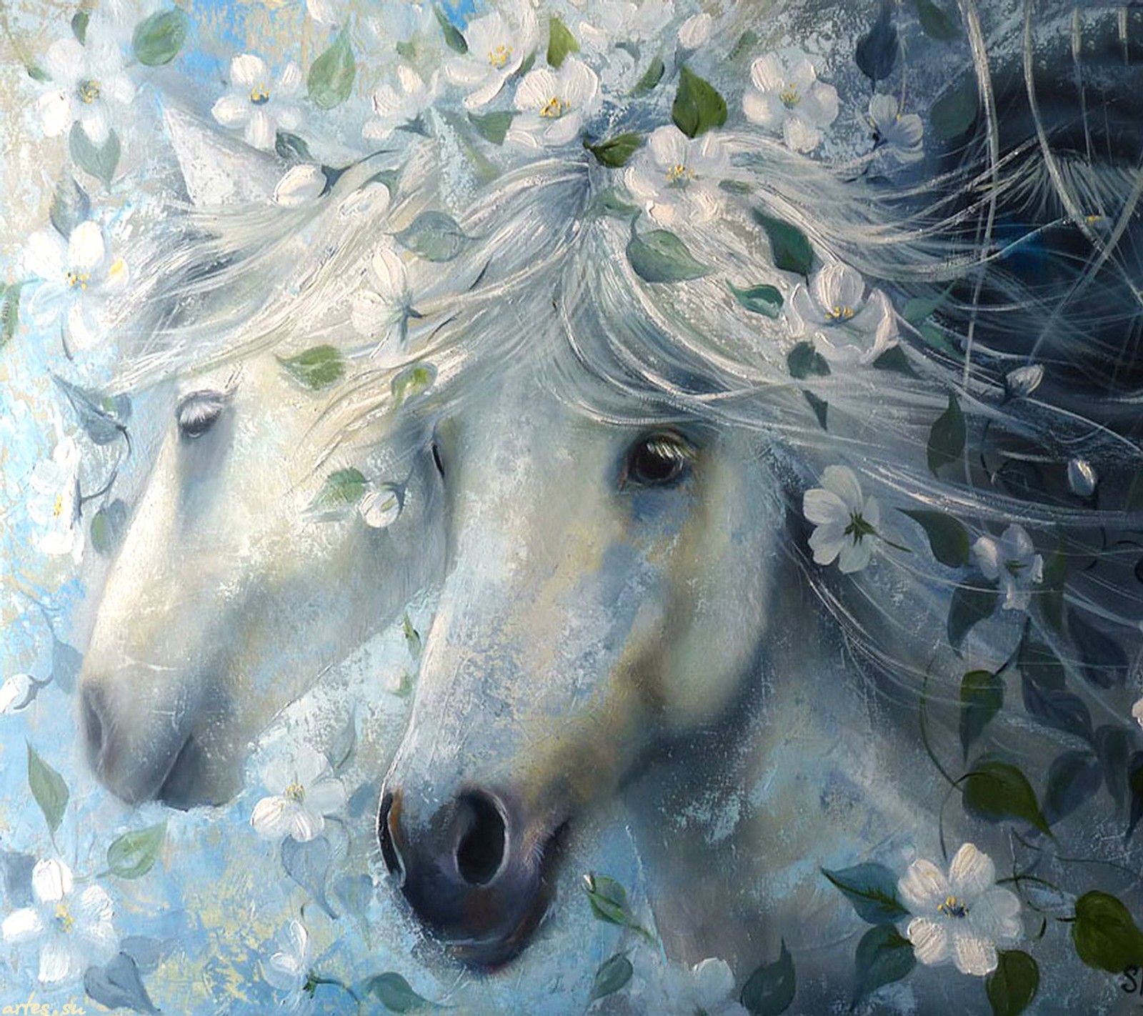 Pintura de dois cavalos com flores brancas na cabeça (cavalo, papel de parede)