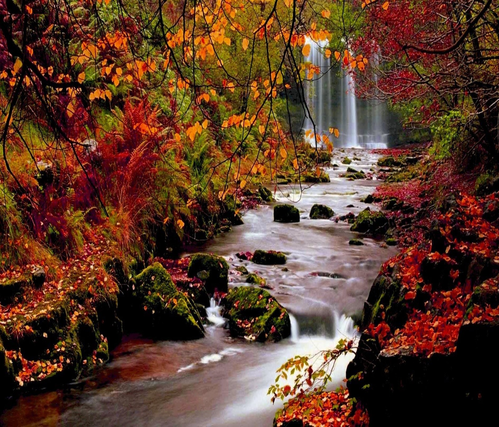 Trees with red leaves and a waterfall in the background (autumn, forest, landscape, nature, waterfalls)