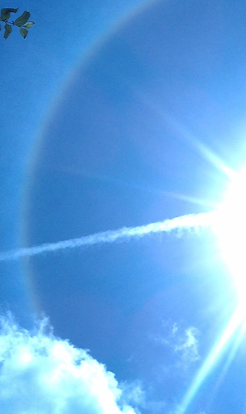 Uma girafa voando no céu com um arco-íris ao fundo (solo, sol)