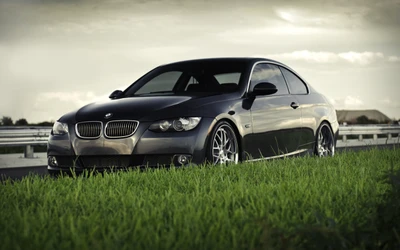 Élégante BMW Série 3 E90 avec des jantes en alliage, garé sur un bas-côté herbeux sous un ciel dramatique.