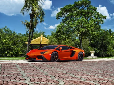 Lamborghini Aventador em laranja vibrante em meio à vegetação exuberante e à estrada pavimentada.