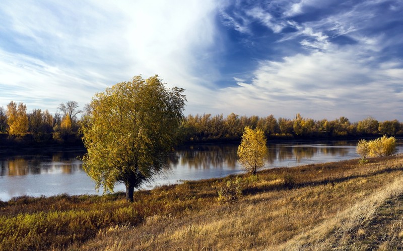 Вид на реку с несколькими деревьями на переднем плане (отражение, природа, вода, дерево, облако)