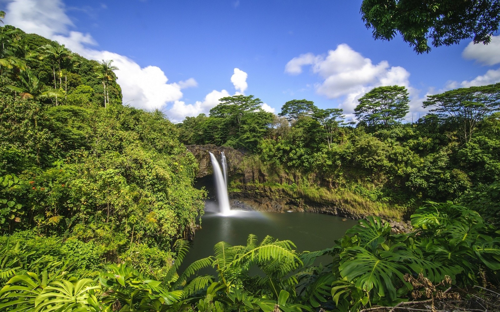 Una cascada en medio de un exuberante bosque verde (cascadas del arcoíris, recursos hídricos, vegetación, naturaleza, cuerpo de agua)