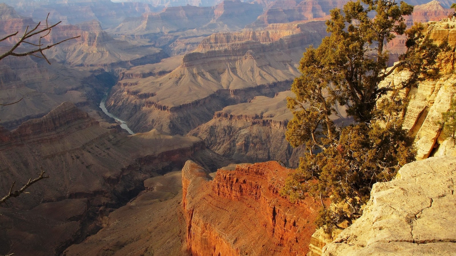 Vista arafed de um cânion com um rio correndo através dele (cânion, grand canyon, parque nacional, cânion antílope, badlands)