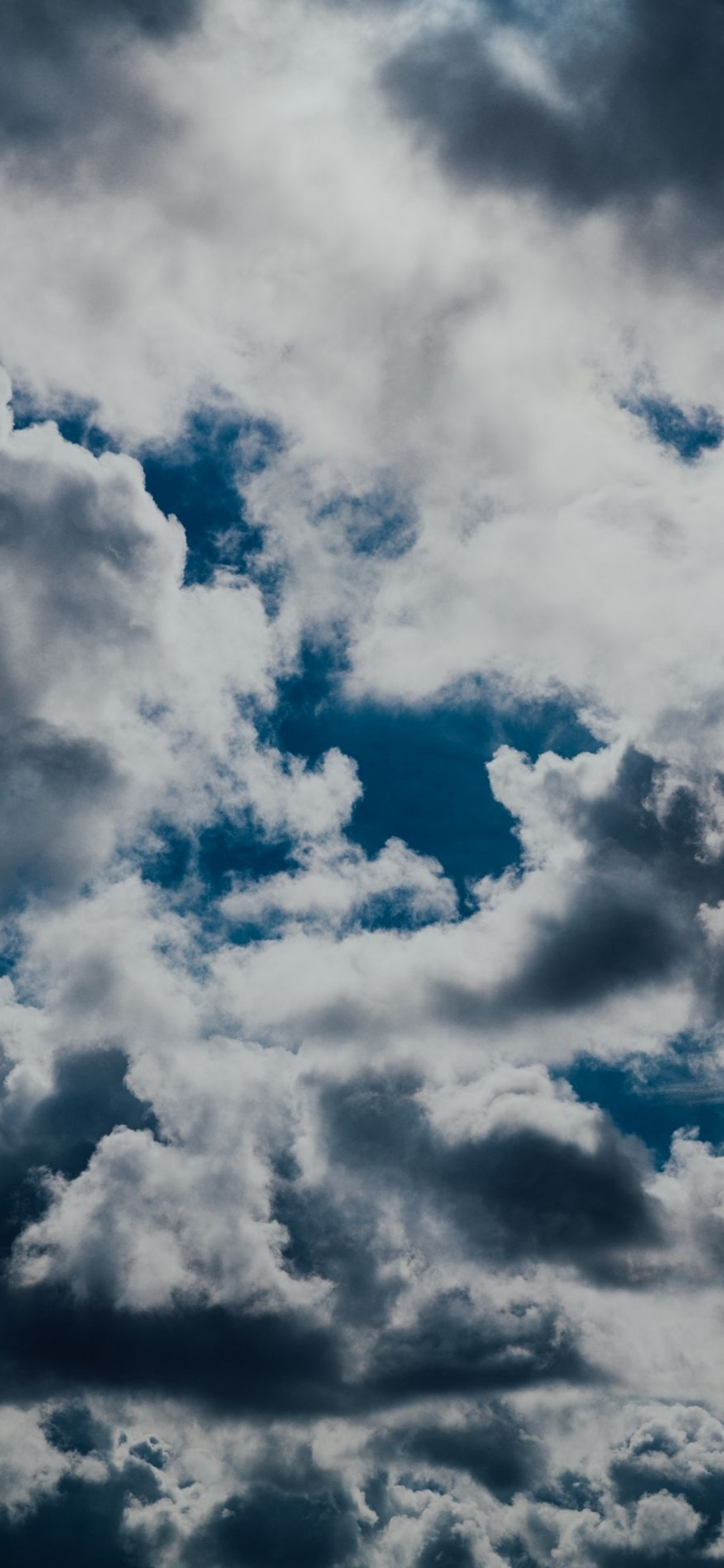 Il y a un avion qui vole à travers les nuages dans le ciel (nuage, atmosphère, bleu, cumulus, arbre)