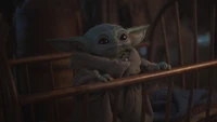 Baby Yoda schaut neugierig aus seiner Wiege in "The Mandalorian.