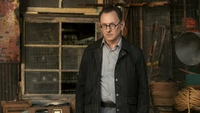 fallout series, tv series, michael emerson