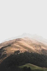 Misty Highland Landscape with Rolling Hills and Dense Forests