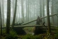 Nebeliger Waldszene mit umgefallenen Bäumen in einem üppigen Waldökosystem