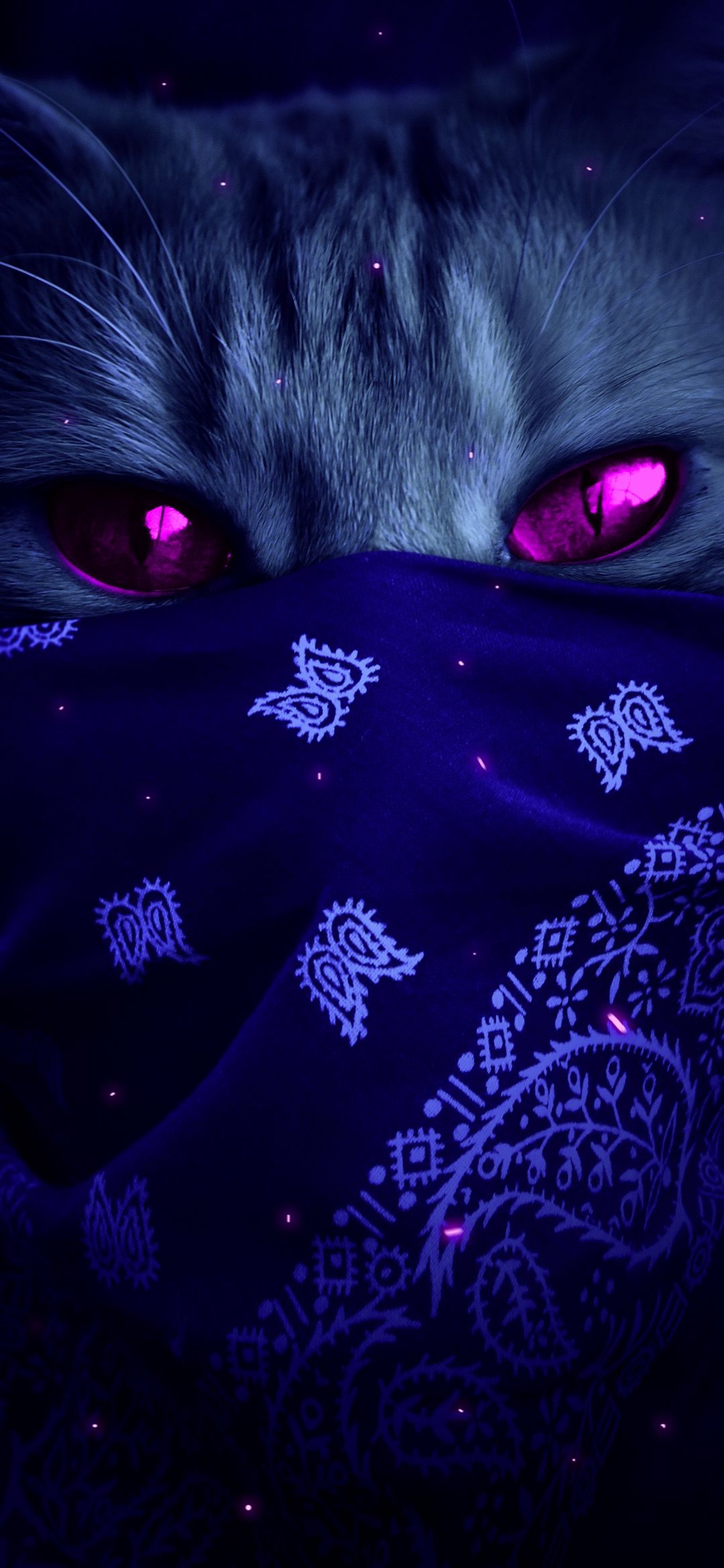 There is a cat with red eyes hiding under a blanket (cat, purple, violet, magenta, felidae)