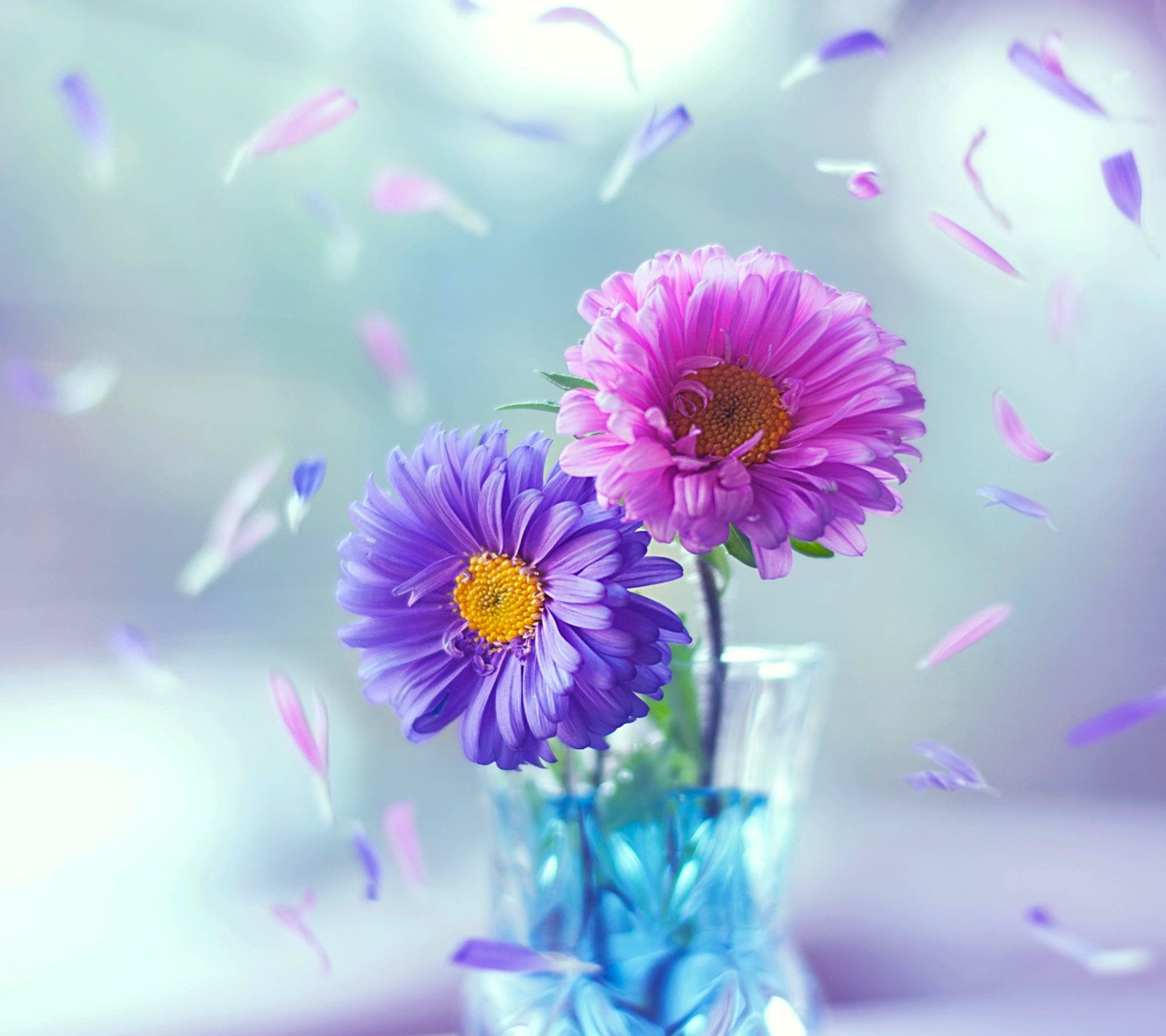 Flores roxas em um vaso com água e pétalas voando ao redor (3d, bonito, colorido, legal, flores)