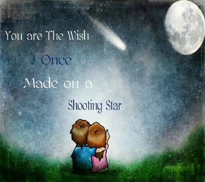 Love Under the Shooting Star