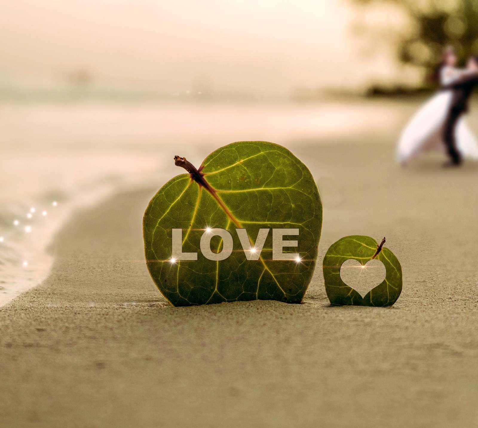 There are two pieces of leaf with the word love on them (amor, love, parejas)