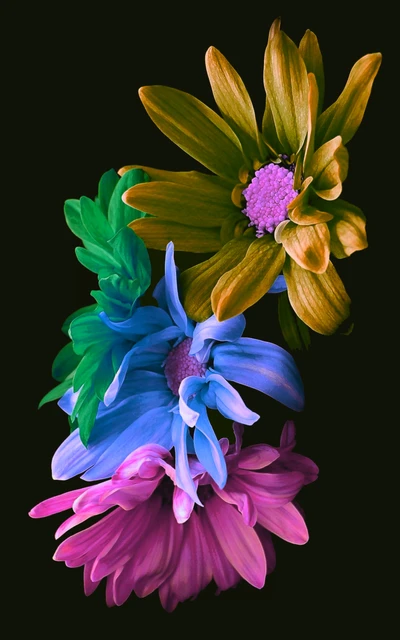 Vibrant Neon Flowers on Black Background