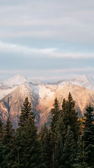 Montagnes majestueuses couvertes de neige encadrées par des forêts luxuriantes