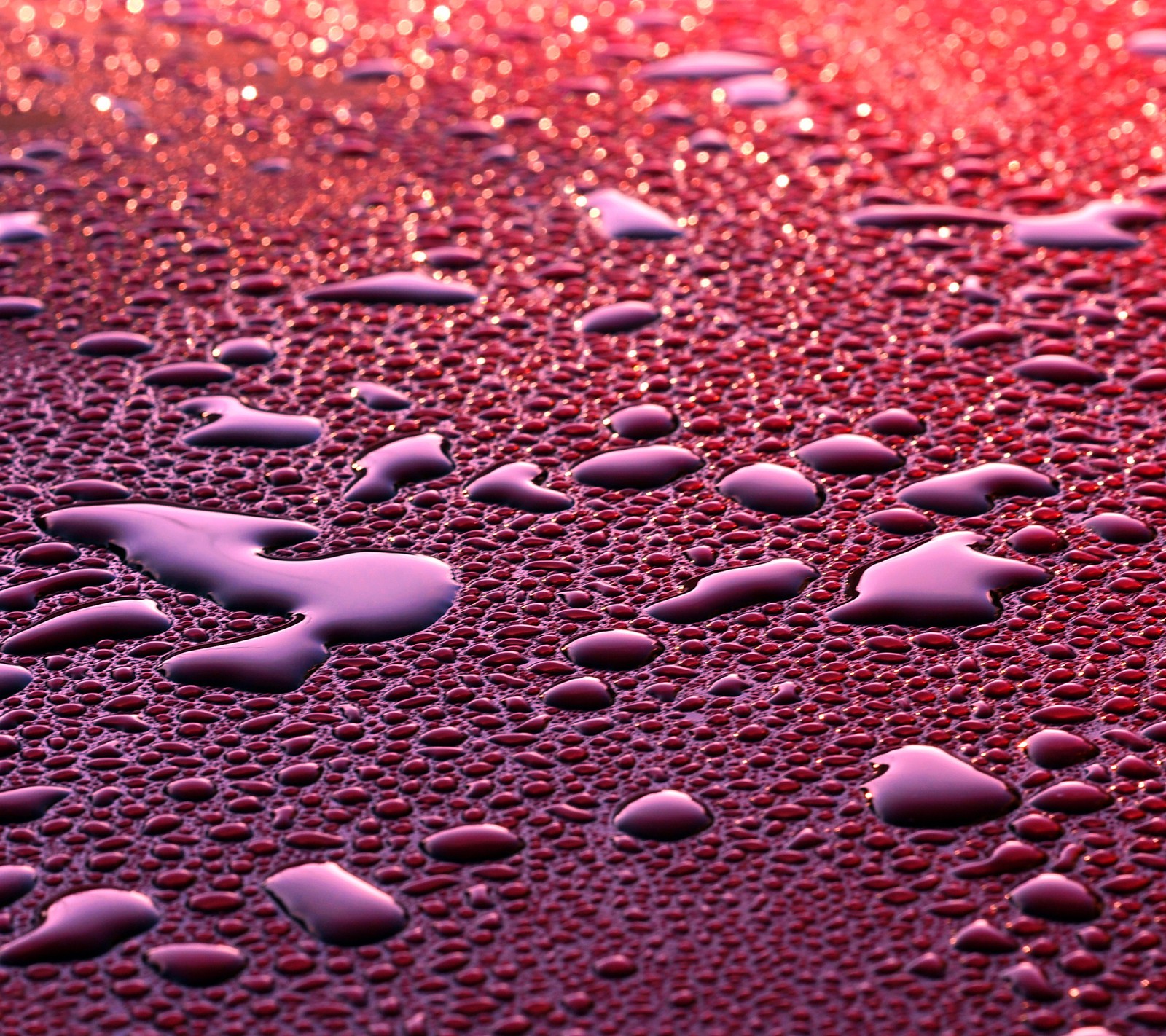 Nahaufnahme von wassertropfen auf einer roten oberfläche (abstrakt, hintergrund, rain water drops)