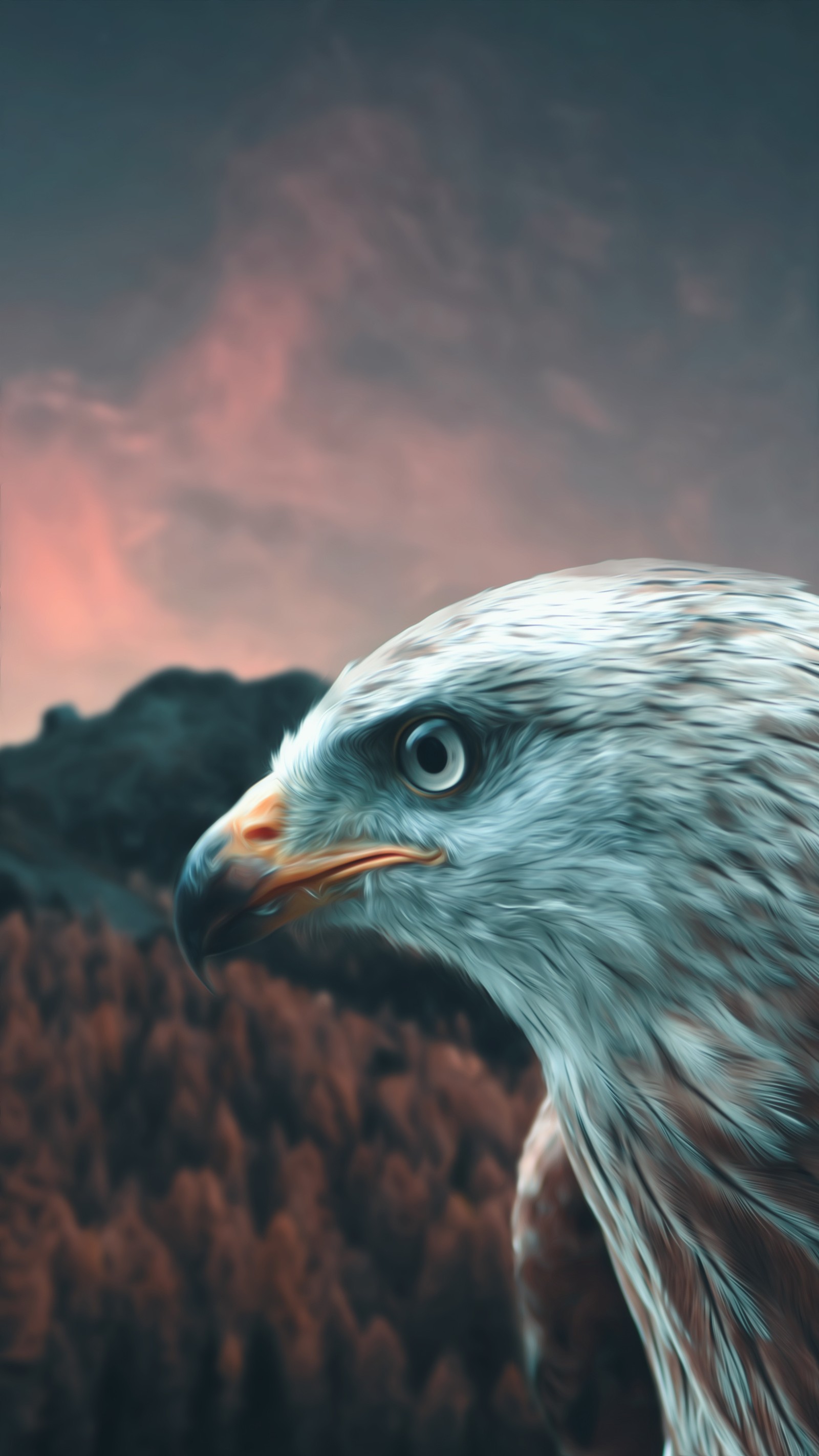 eagle, mountain, sky Download Wallpaper