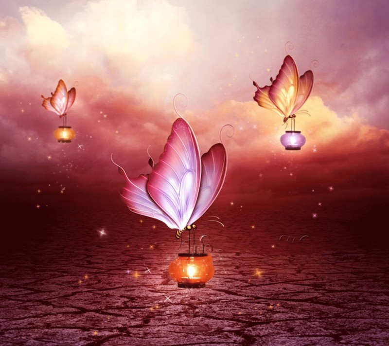 Butterflies flying around a lantern in a desert area with a cloudy sky (butterflies, lights)