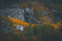 Serenidad Otoñal: Un Hogar Acogedor Entre Árboles de Alerce y Cascadas