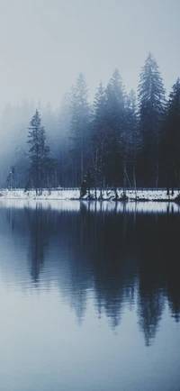 winter, wasser, wasserressourcen, natürliche landschaft, baum