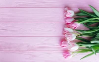 Elegantes tulipanes rosas sobre una suave superficie de madera rosa