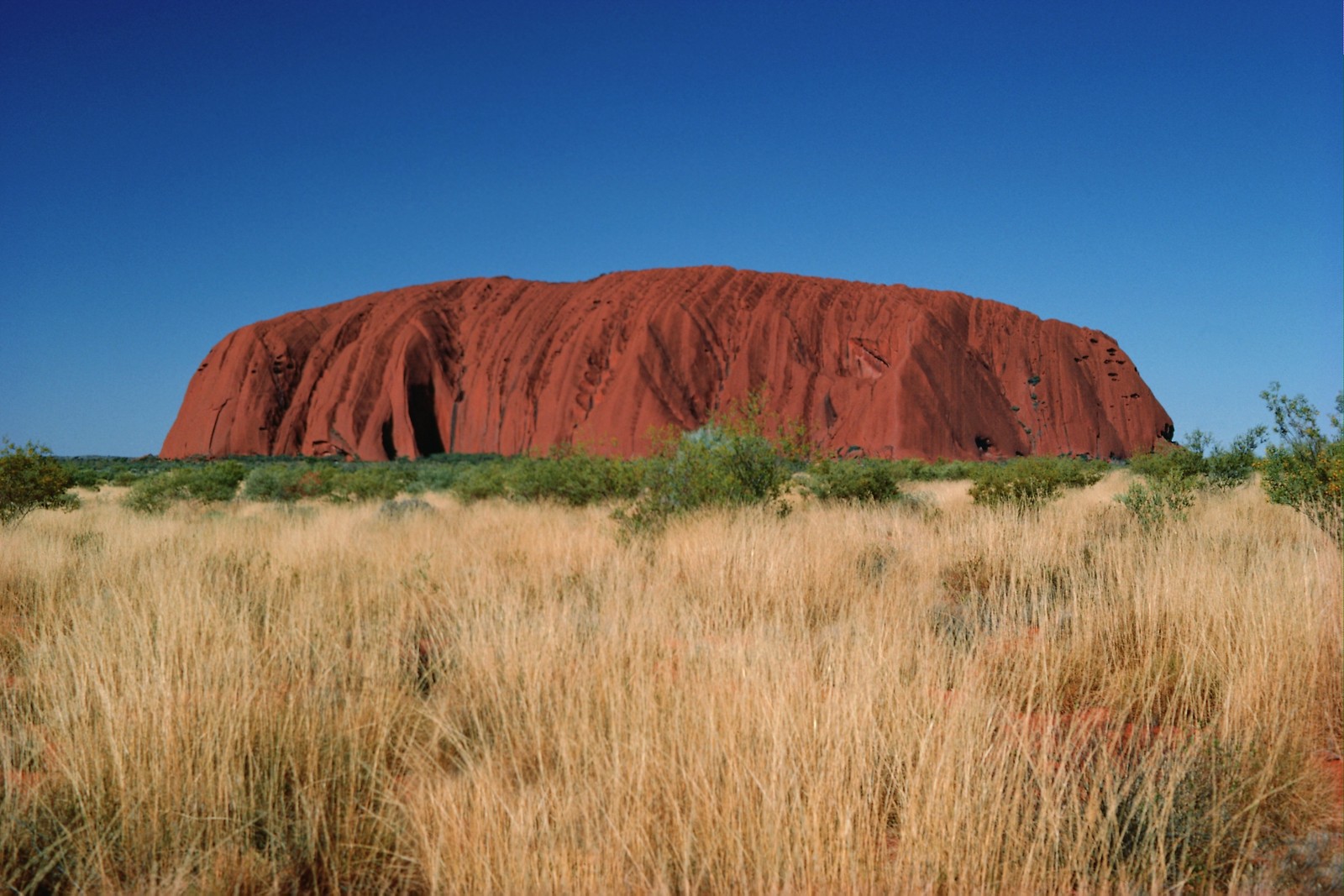 Un primer plano de una gran roca en medio de un campo (uluru, interior de australia, roca, paisaje natural, badlands)